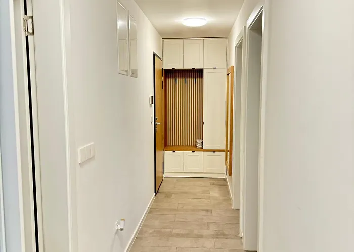 The Royal Nest Waves סראייבו